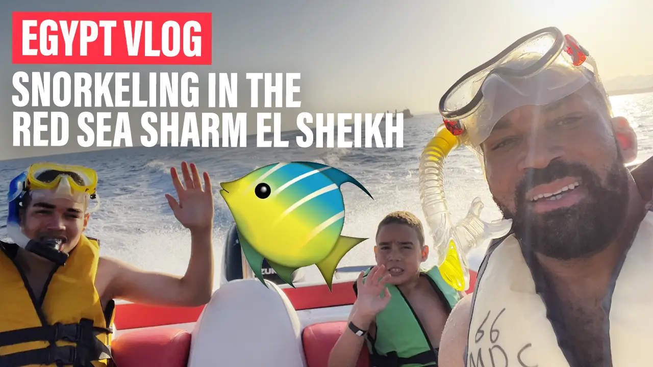 Snorkeling In The Red Sea Sharm El Sheikh