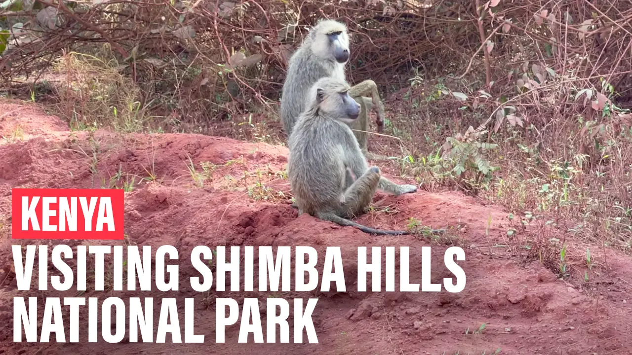 Shimba Hills National Reserve