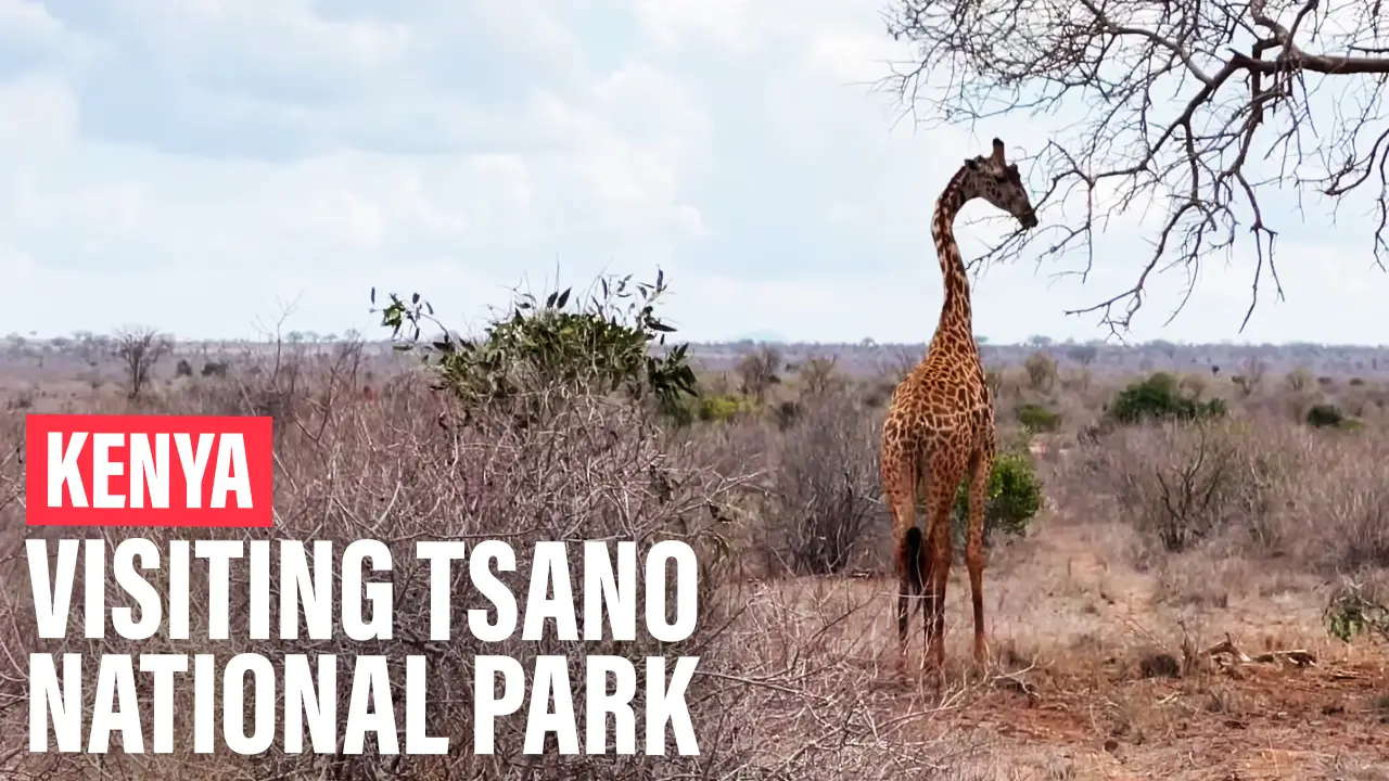 Tsavo National Park